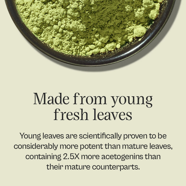 Graviola + Shilajit Supplement