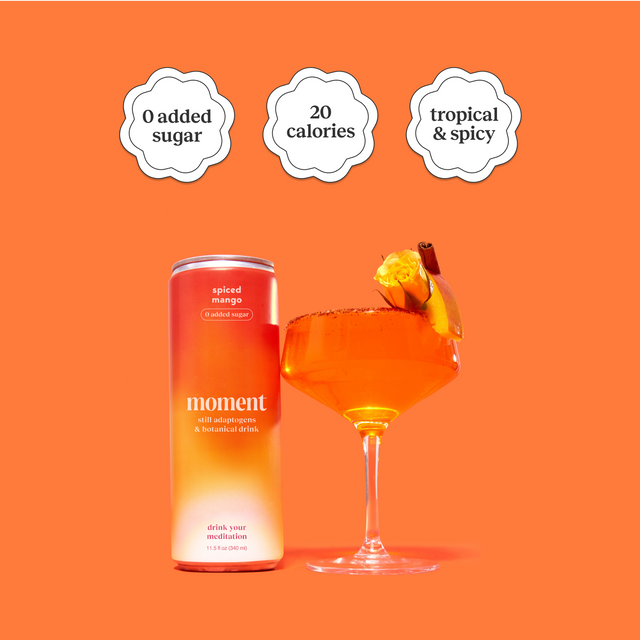 spiced mango (botanical tea | 24 pack)