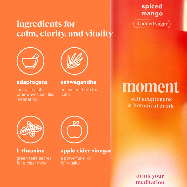 spiced mango (botanical tea | 24 pack)