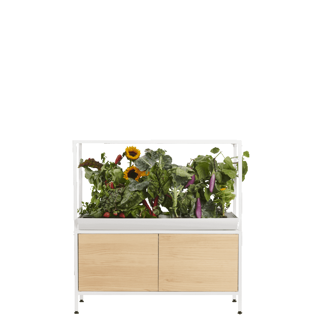 The Rise Extension 3