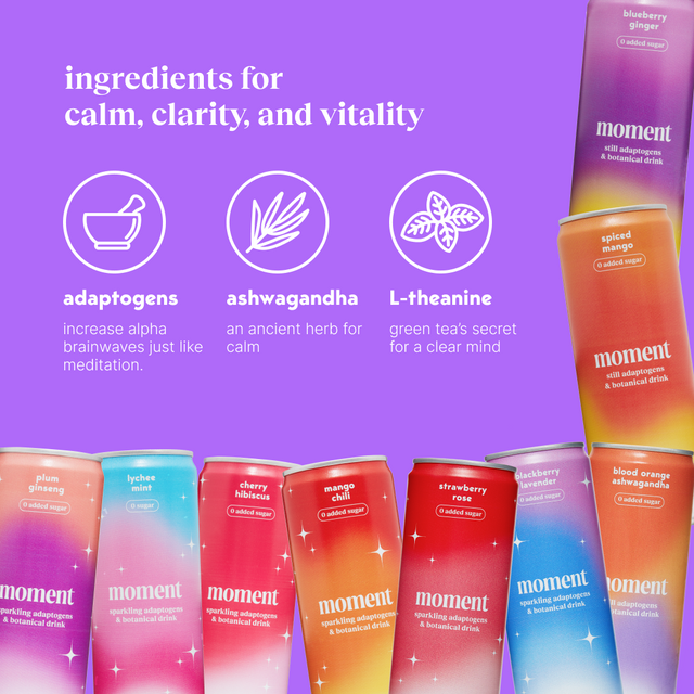 sparkling & still sampler (sparkling & still mocktail | 24 pack)