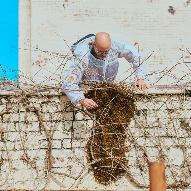 Professional Triple Layer Ventilated Full Beekeeping Suit