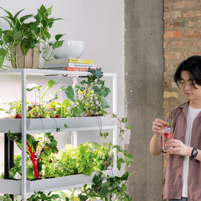 The Rise Extension 3