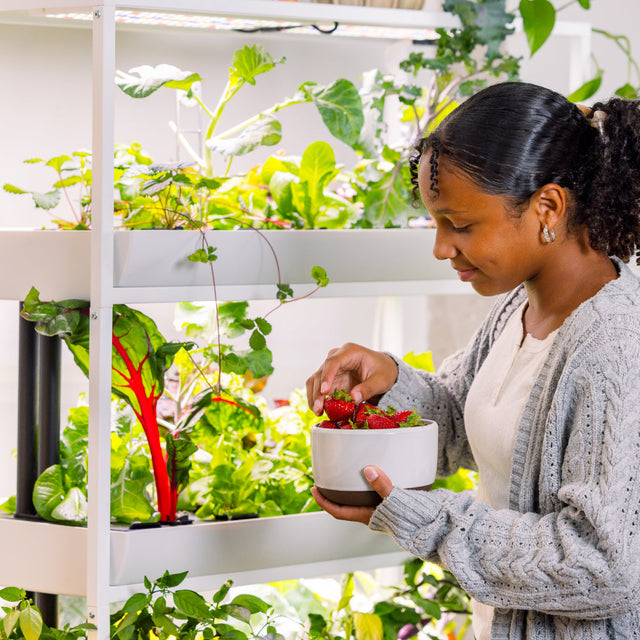 The Rise Extension 3