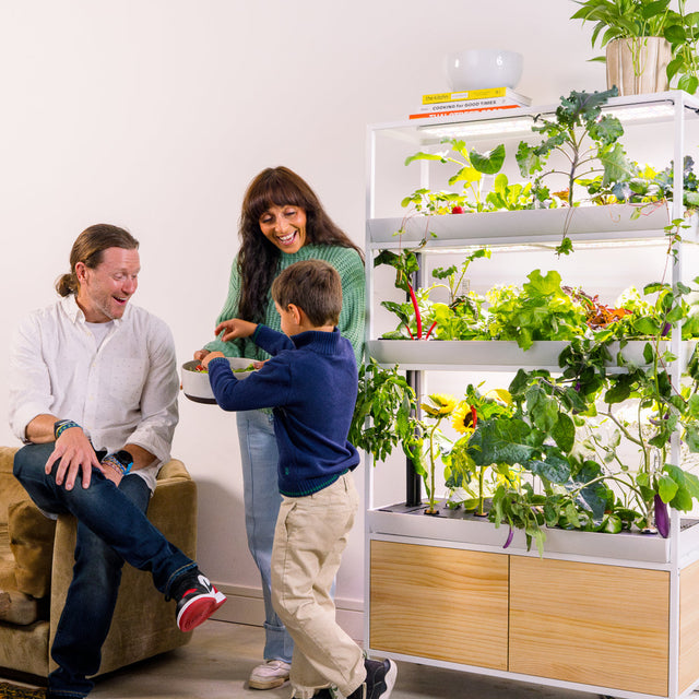 The Rise Extension 3