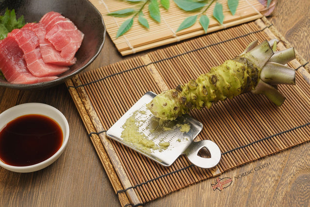 Fresh Japanese Wasabi Root + Steel Shark Grater Bundle