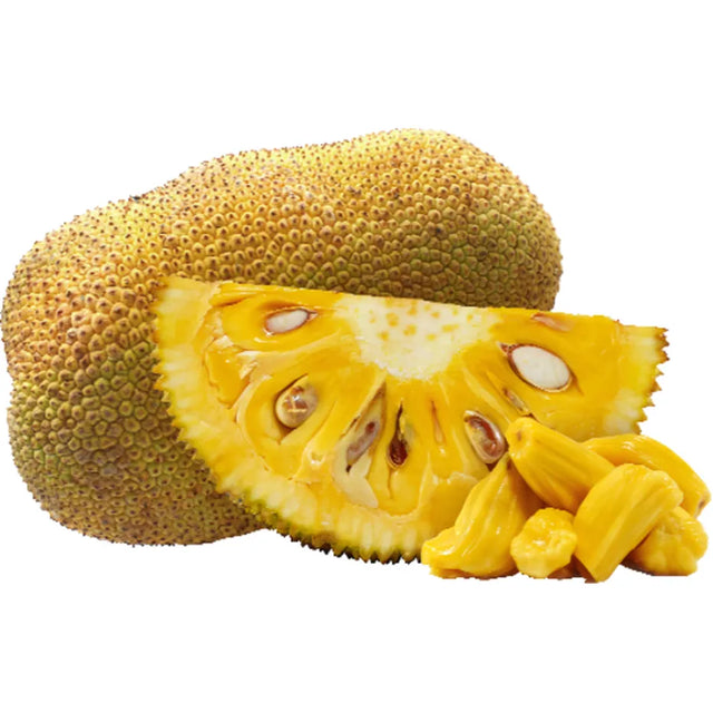 Fresh Whole Jackfruit 15-25 lb