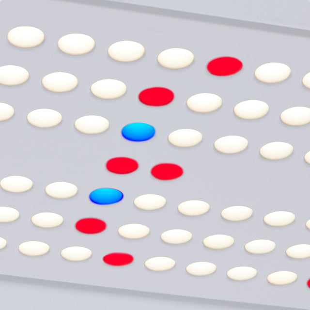 Personal Rise Garden