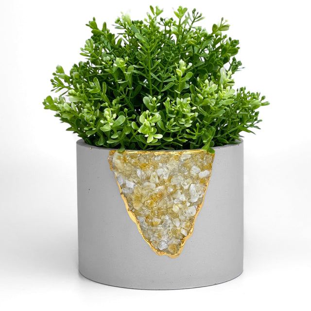 6 inch CITRINE PLANTER