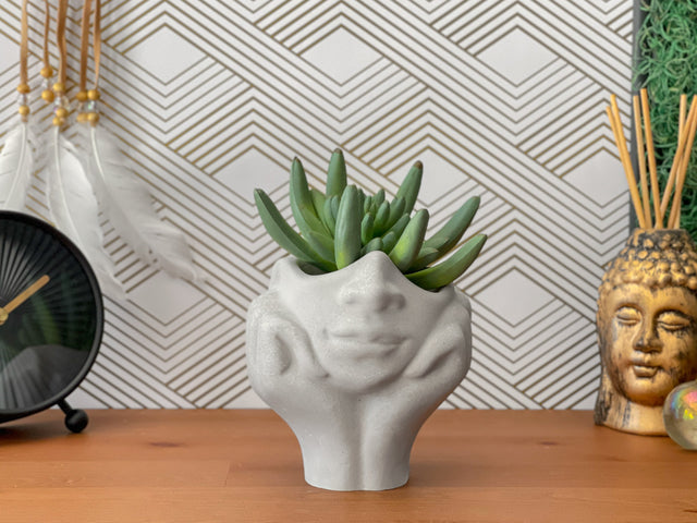 Face Succulent Planter on Two Hands