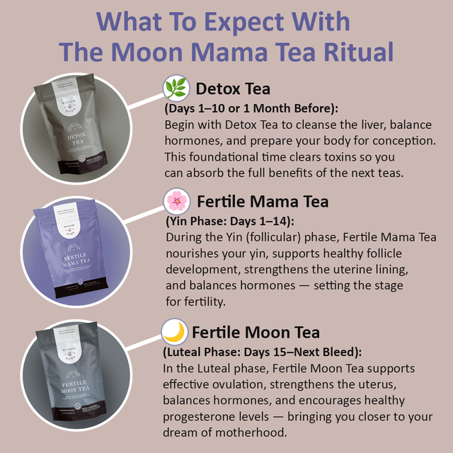 Moon Mama Fertility Tea Bundle - New Bundle