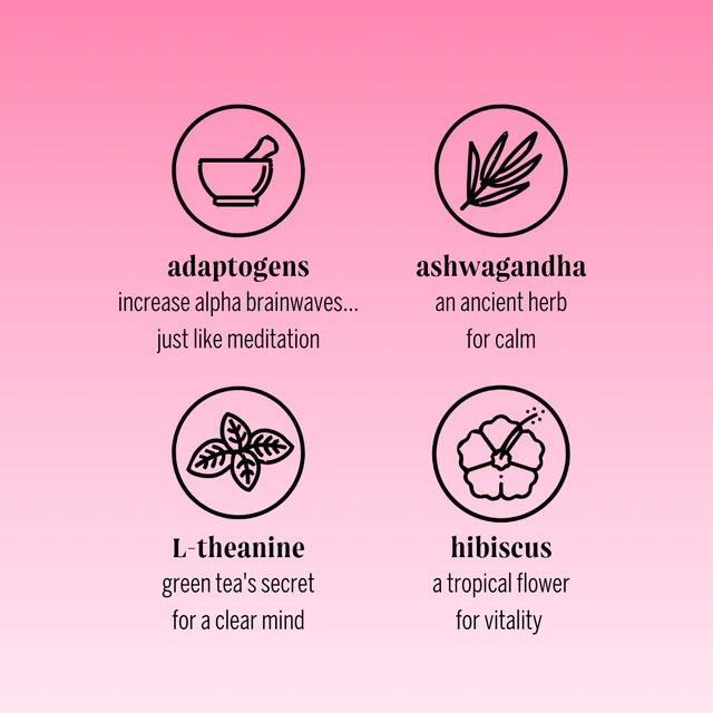 hibiscus dragon fruit (botanical tea | 24 pack)