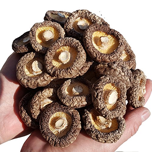 Dried Mushrooms 5 Pound 80 oz