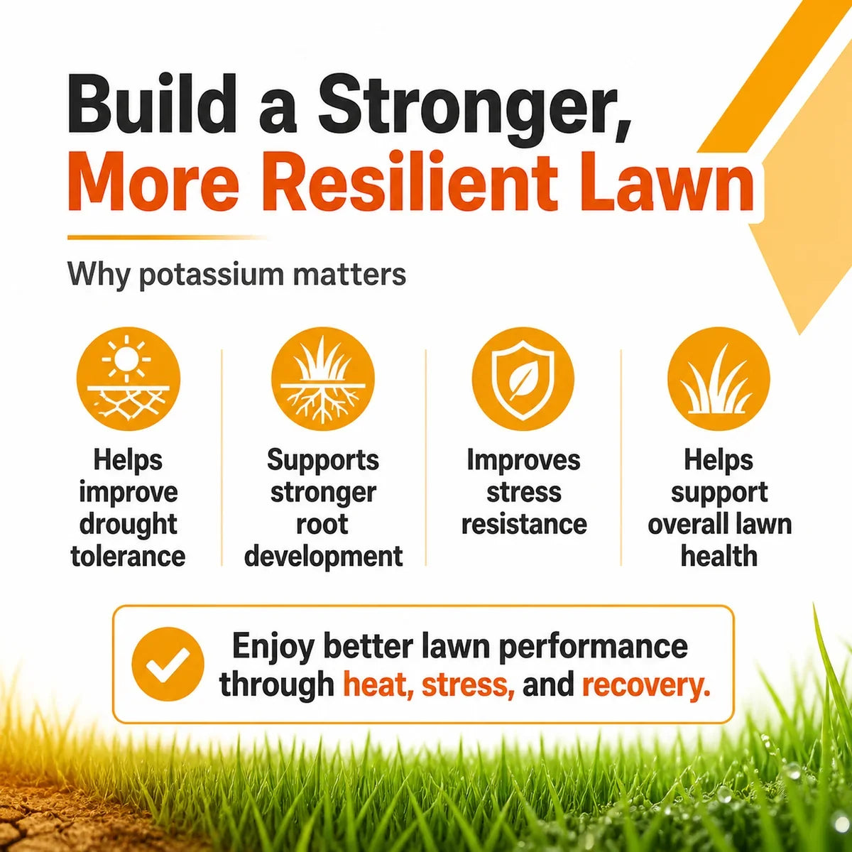 Potassium Boost 0-0-30 Lawn Fertilizer