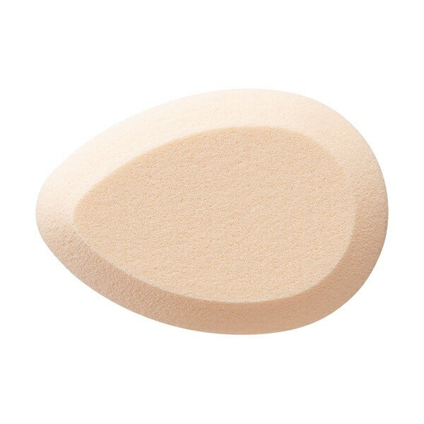 Shiseido Foundation Sponge 119