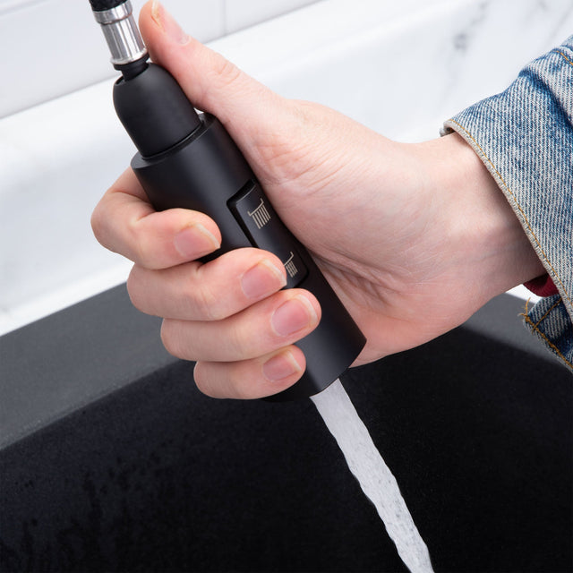 Tehila Black Finish High-Arc Pull-Down Faucet