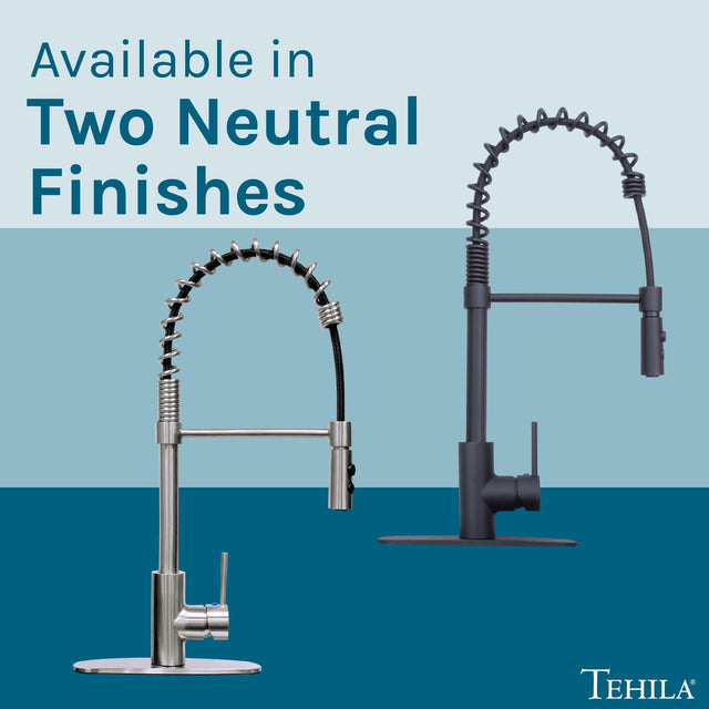 Tehila Black Finish High Arc Coil Pull-Down Faucet