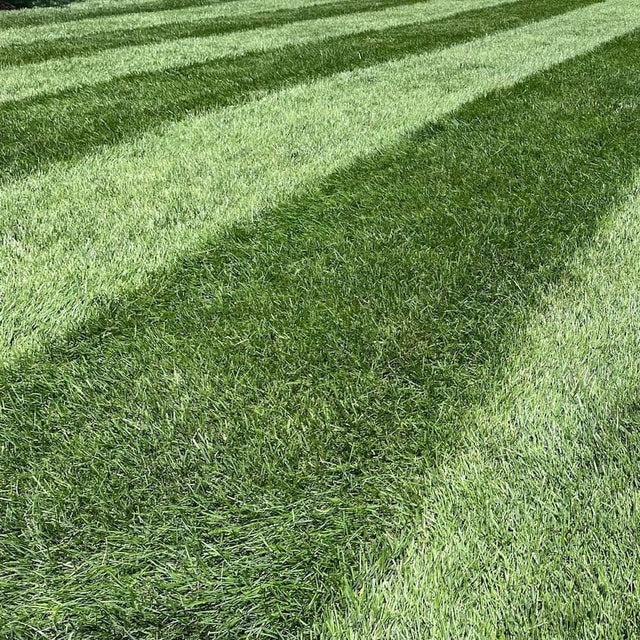 Emerald 10-0-20 Lawn Fertilizer