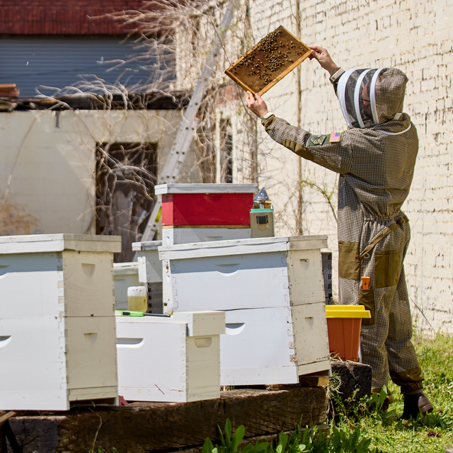 Professional Triple Layer Ventilated Full Beekeeping Suit