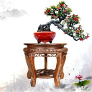 Carved Wood Round Flowerpot Bonsai Fish Tank Base