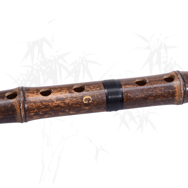 Zizhu Xiaoshu Purple Bamboo 8 Hole G, F Flute for Beginners
