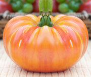 50 OAXACAN JEWEL TOMATO Bicolor Golden Yellow Striped Red Mexican Lycopersicon Vegetable Seeds