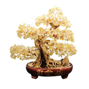 Citrine Lucky Money Tree