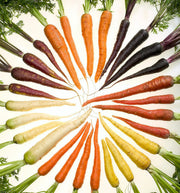 500 RAINBOW CARROT MIX White Red Yellow Purple Orange Daucus Carrota Seeds
