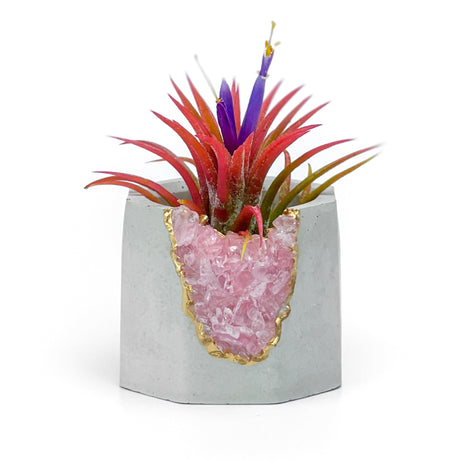 ROSE QUARTZ GEODE PLANTER