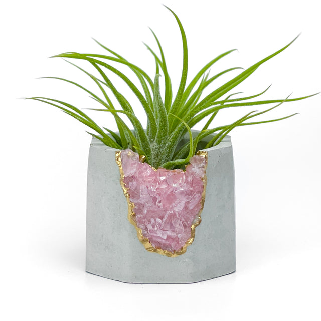 ROSE QUARTZ GEODE PLANTER