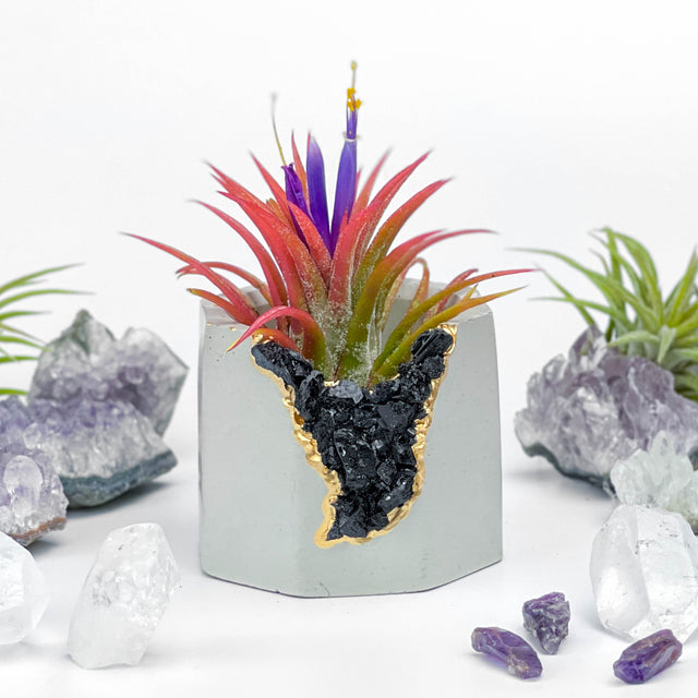 BLACK TOURMALINE GEODE PLANTER
