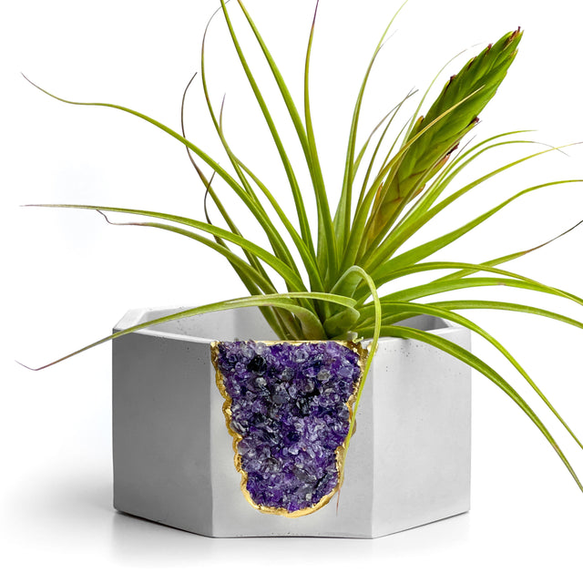 AMETHYST GEODE PLANTER