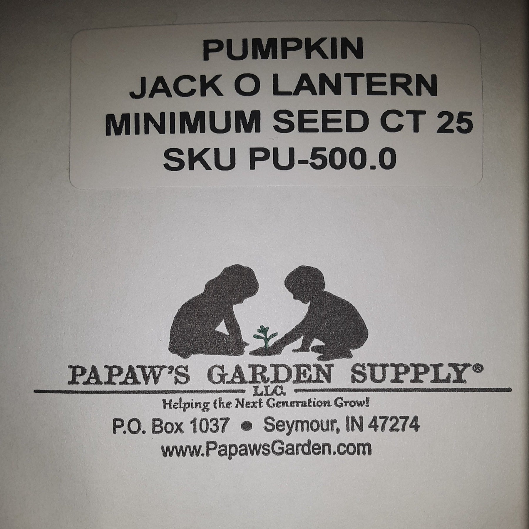 Jack O' Lantern Heirloom Pumpkin Seeds