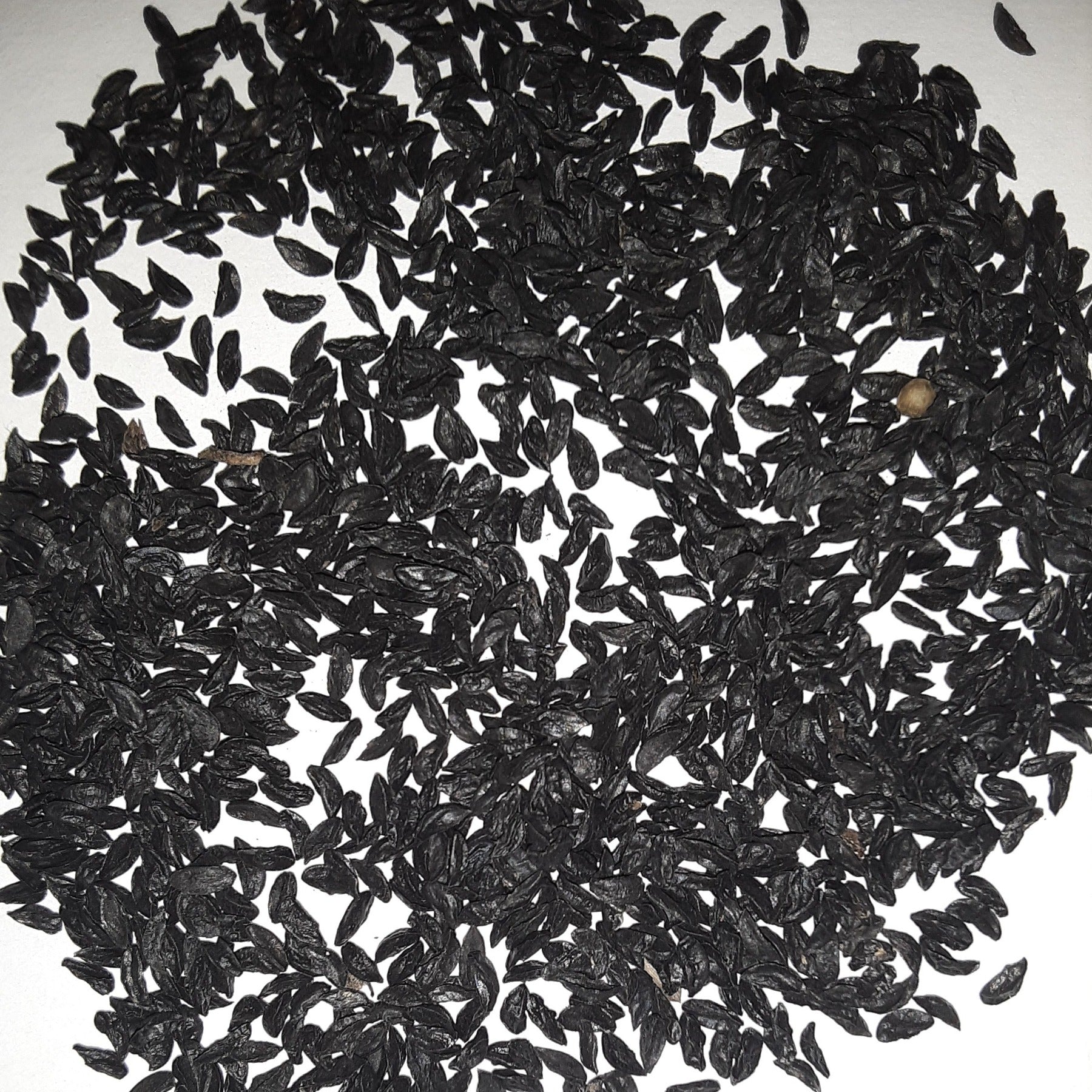 Herb, Garlic Chive Seeds