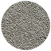 Dutch White Clover C & I