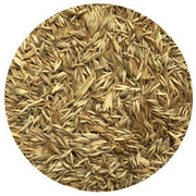 Potomac Orchardgrass