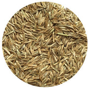 Tetragain Perennial Ryegrass