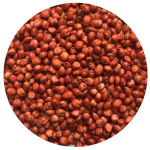 Honey Sweet Hybrid BMR Sorghum-Sudangrass