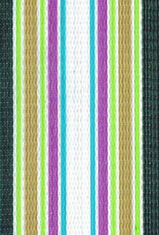 Spring Fling Webbing