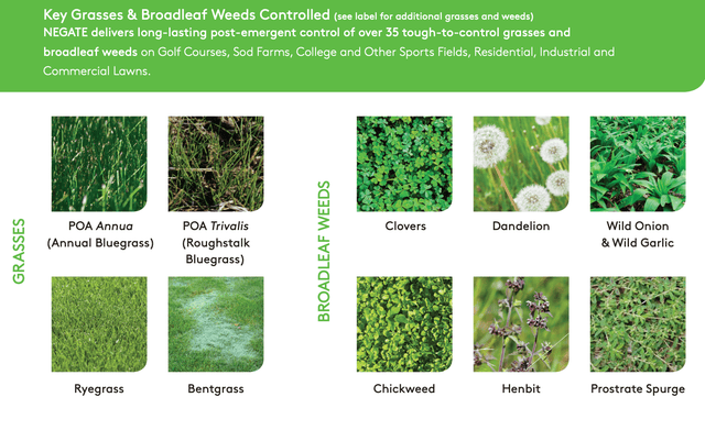 Negate 37WG Herbicide