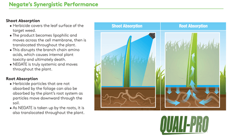 Negate 37WG Herbicide