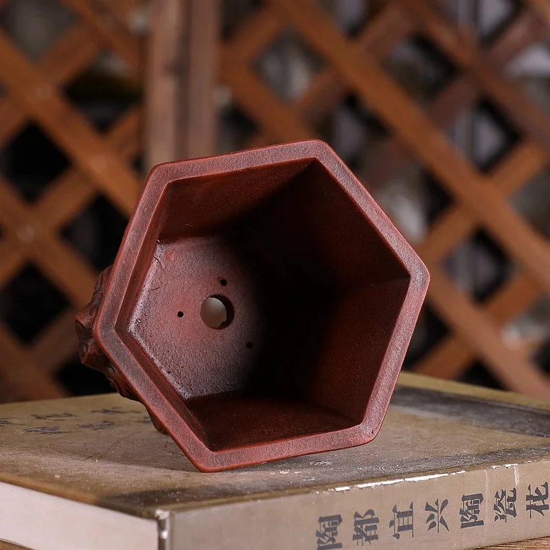 Purple Sand Plum Blossom Bonsai Pot – Carved Traditional Chinese Planter