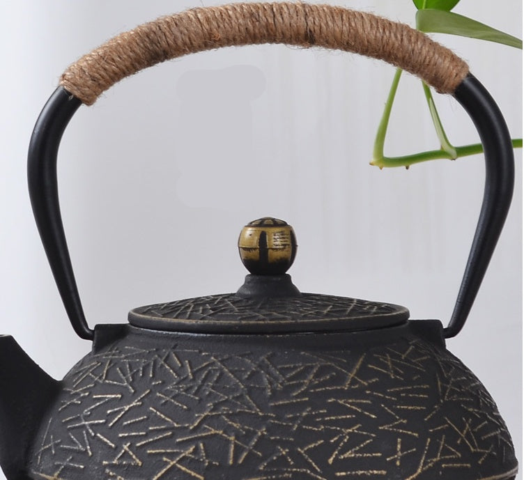 Japanese cast iron teapot