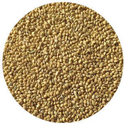 German Foxtail Millet