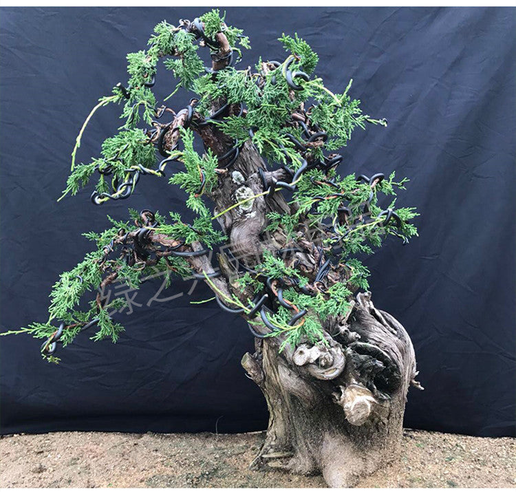 Aluminum Bonsai Training Wire