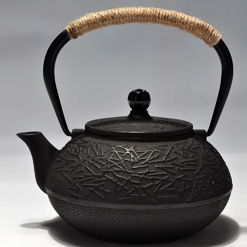 Japanese cast iron teapot