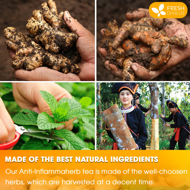 Anti-Inflammaheb Loose Leaf Tea, 100% Natural from Ginger, Turmeric, Peppermint, Black Pepper, Cinnamon