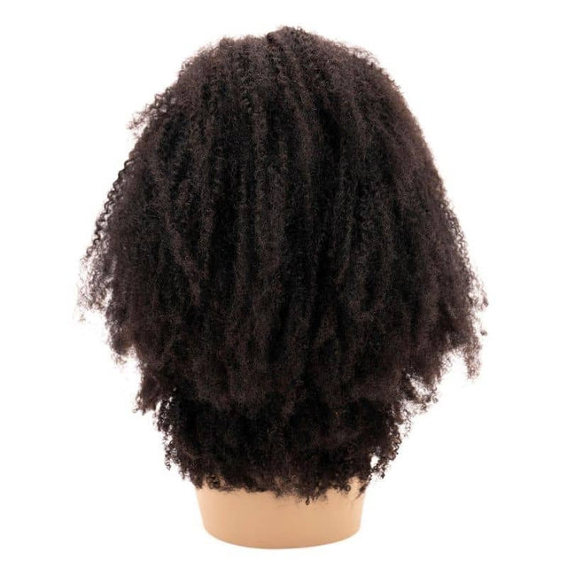 Afro Kinky Curly 4x4 Transparent Lace 100% Human Hair Closure Wig