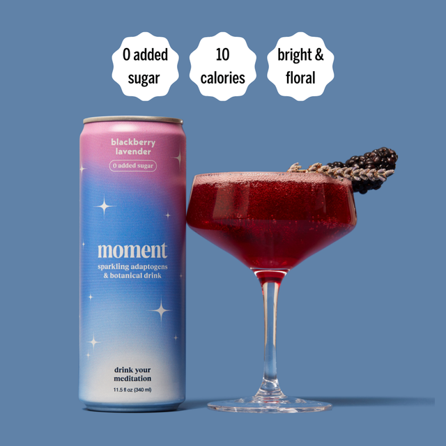 blackberry lavender (botanical soda | 24 pack)