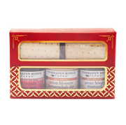 Holiday - Snack Pack